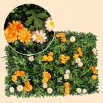 Artificial Plant Wall Manufacturer - 40x60cm Customizable Multi-color Shopping Malls Decorative Lawn