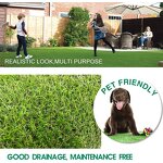 Pet Artificial Grass Manufacturer - Realistic Indoor Outdoor Decor Garden Lawn Synthetic Turf Mat