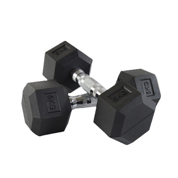 Fixed Dumbbell Manufacturer - Hexagonal Cast Iron Rubber Coated Men Gym Fitness Push-ups Household Dumbbell