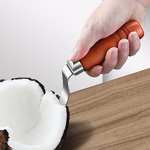 Coconut Meat Stripper Manufacturer - Stainless Steel Wooden Handle Efficient Coconut Peeling Tool
