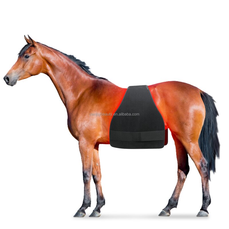 Horse Red Light Therapy Pad Manufacturer - 2025 Comfortable for Back Recovery 660nm 850nm Back Blanket