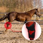 Knee Therapy Wrap Manufacturer - Customizable 3-in-1 Rechargeable for Horse Pet 660nm 850nm Infrared Equine Hock Physiotherapy