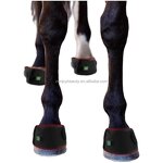 Horse Red Light Therapy Belt Manufacturer - Built-In Battery 660nm 850nm Wrap for Equine Pain Relief
