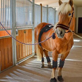 Horse Body Wrap Manufacturer - Built-In Battery LED Near Infrared Wearable Light Therapy Pad Red Light Belt