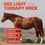 Horse Red Light Therapy Wrap Manufacturer - 660nm 850nm Hock Built in Battery for Equine Pain Relief Lap