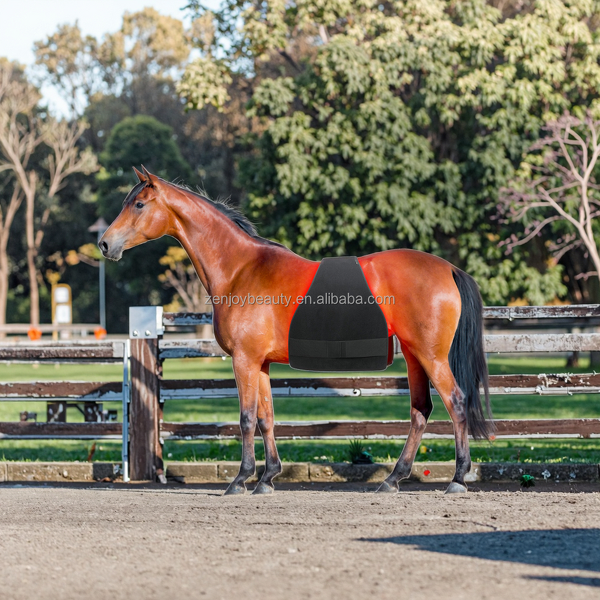 Horse Care Products Manufacturer - 2025 Built-In Battery LED Therapy Light Pad 660nm 850nm for Stifle Pain Relief