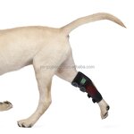 Red Light Therapy Belt Manufacturer - Custom Infrared 660nm 850nm LED for Dog Cat Leg Pain Relief