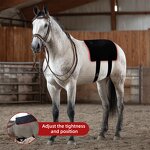 Horseback Red Light Therapy Pad Manufacturer - 2025 Portable Built-In Battery Wrap Belt 660nm 850nm for Pain Relief