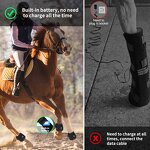Horse Red Light Therapy Device Manufacturer - Portable Phototherapy Near Infrared for Hock Hoof & Pain Relief