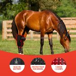 Knee Therapy Wrap Manufacturer - Customizable 3-in-1 Rechargeable for Horse Pet 660nm 850nm Infrared Equine Hock Physiotherapy