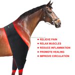 Horse Red Light Therapy Pad Manufacturer - 2025 Comfortable for Back Recovery 660nm 850nm Back Blanket