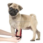 Wearable Therapy Device Manufacturer - 660nm 850nm Red Light Battery for Pets & People