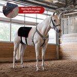 Horseback Red Light Therapy Pad Manufacturer - 2025 Portable Built-In Battery Wrap Belt 660nm 850nm for Pain Relief