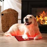 Horse Red Light Therapy Mat Manufacturer - 2025 Built-in Battery Wireless Pad for Back Health & Veterinary Clinic