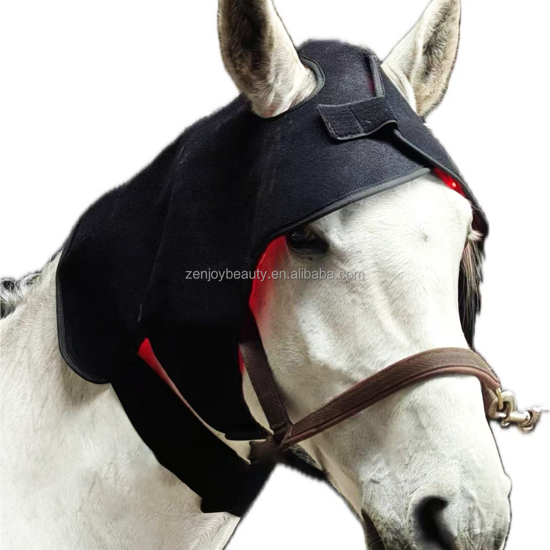 Horse Red Therapy Light Belt Manufacturer - 660nm 850nm for Pain Relief & Injury for Pets Animal Care