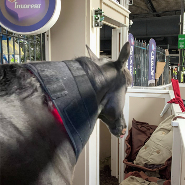 Infrared Light Therapy Mat Manufacturer - OEM ODM 660nm 850nm Red LED Heating Pad for Horse Neck Belly