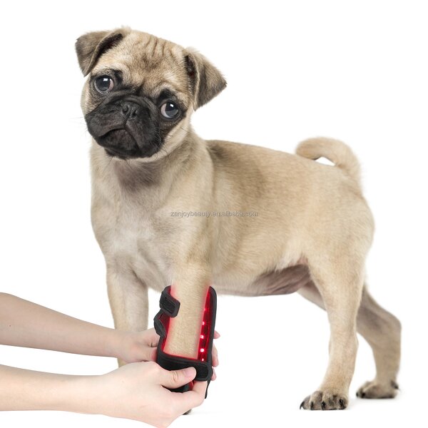 Red Light Therapy Belt Manufacturer - Custom Infrared 660nm 850nm LED for Dog Cat Leg Pain Relief
