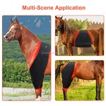 Red Light Infrared Pet Therapy Pad Manufacturer - New Design LED for Belly Back Equine Pain Relief Horse Care