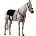 Horseback Red Light Therapy Pad Manufacturer - 2025 Portable Built-In Battery Wrap Belt 660nm 850nm for Pain Relief
