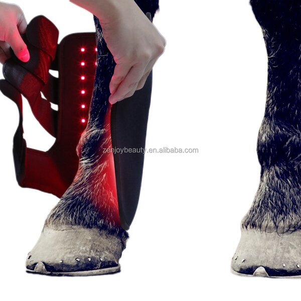 Equine Infrared Red Light Therapy Wrap Manufacturer - 2025 Battery-Powered Wearable 660nm 850nm for Hock Leg Pain Relief