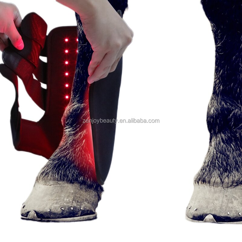 Equine Infrared Red Light Therapy Wrap Manufacturer - 2025 Battery-Powered Wearable 660nm 850nm for Hock Leg Pain Relief