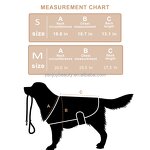 Veterinary LED Therapy Equipment Manufacturer - Red Light Physiotherapy for Pet Pain Relief Dog Coat