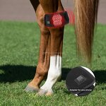 Horse Leg Hoof Therapy Manufacturer - 2025 Portable LED Red Light Infrared 660nm 850nm Built-In Battery for Knee Care
