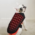 Dog Red Light Therapy Mat Manufacturer - 2024 Custom 660nm 850nm Infrared LED Blanket for Pain Beauty Care