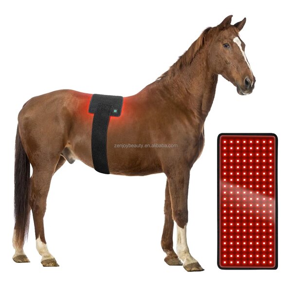 Horse Red Light Therapy Mat Manufacturer - 2025 Built-in Battery Wireless Pad for Back Health & Veterinary Clinic