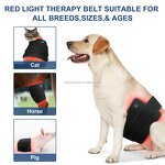 Equine Red Light Therapy Belt Manufacturer - 2025 Built-in Battery Wireless Mat 660nm 850nm for Dogs Cats Horse