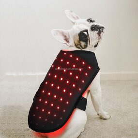 Pet Red Light Therapy Belt Manufacturer - Built-in Battery Wholesale Home Use 660nm 850nm Infrared Wrap for Dogs