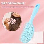 Scalp Massage Hairbrush Manufacturer - Customized Hollowed-out Self Cleaning ABS Detangling Vent Shower Soft Bristles Brush