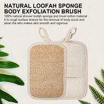 Loofah Sponge Brush Manufacturer - Wholesale Eco Friendly Natural Biodegradable Luffa Deep Cleaning Back Scrubber