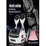 Russian Current EMS Machine Manufacturer - Portable Salon Use Muscle Stimulator Body Slimming Device
