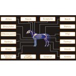 Spa Stand Trolley Cart Manufacturer - Good Quality Salon Trolley for Putting Beauty Machine