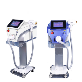 2in1 Laser Machine Manufacturer - 808nm Diode Picosecond Laser Hair Removal Tattoo Removal Appliances