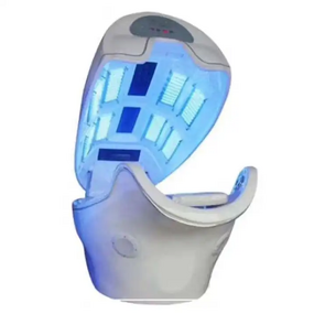 Steaming Spa Capsule Manufacturer - New Design Health Care Physical Therapy with Steaming Pot