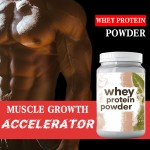 Whey Protein Powder Factory - OEM Adult Muscle Growth Supplement