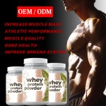 Whey Protein Powder Manufacturer - OEM Premium Muscle Growth Formula