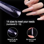 Nail Art Forms Manufacturer - Professional 140 Clear Eagle Cat Eye Tips Fast UV Cure Paperless Plastic Acrylic
