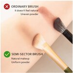 Makeup Brushes Manufacturer - 5-Piece Half Fan-Shaped Synthetic Hair for Contour Blush Angled Concealer Eye Nose