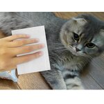 Pet Grooming Wipes Manufacturer - OEM Service Low Price Portable Soft Cat Dog Pet Cleaning Wet Tissues