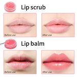 Lip Scrub Balm Manufacturer - Wholesale Reizen 6 Flavors Organic Fruit Custom logo Vegan Strawberry 2 in 1