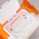 Pet Grooming Wipes Manufacturer - OEM Service Low Price Portable Soft Cat Dog Pet Cleaning Wet Tissues