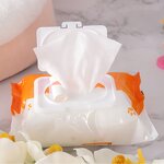 Pet Grooming Wipes Manufacturer - OEM Service Low Price Portable Soft Cat Dog Pet Cleaning Wet Tissues