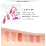 Lip Plumper Manufacturer - Wholesale Moisturizing Vegan Private Label Glossy Lip Gloss Plumper