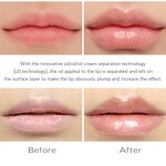Lip Essential Oil Manufacturer - Hot Sale Balsamo Labial 32 Colors Custom Fruit Vegan Watermelon Private Label