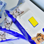 Pet Cleaning Wipes Manufacturer - Organic Dog Cat Biodegradable Natural Private Label Disposable OEM Pet Wipes