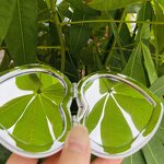 Compact Makeup Mirror Manufacturer - Custom Folding Pu Leather Portable Magnifying Double Sides White Mini Pocket Mirror