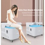 Pelvic Floor Muscle Stimulator - EMS Chair ABS Non-Invasive Incontinence Muscle Training Salon Equipment